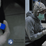 Borneo Si Kukang Kalimantan Kini Kembali ke Hutan