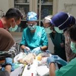 Upaya Konservasi Gigi Kukang Rehabilitasi