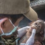 Aben Selamat Berkat Kepedulian Warga