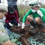 Ketika Laju Perubahan Iklim Semakin Menderu