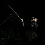 Menjaga Kisah Hutan Kita