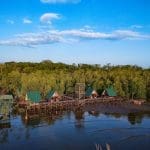 Selalu Ada Yang Penting Tentang Mangrove