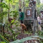 Yang Berkurang Tapi Bikin Hati Senang