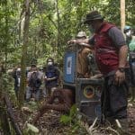 Mengantar 6 Orangutan Pasca Rehabilitasi Kembali ke TNBBBR