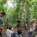 Mengenal Program Holistik YIARI dalam Melindungi Kawasan Hutan Lindung Batutegi, Lampung