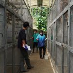 3 Perbedaan Penangkaran dan Pusat Rehabilitasi Satwa Liar