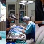 Kisah Peyot, Kukang Jawa yang Berhasil Diselamatkan Melalui Operasi Gastrotomi