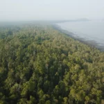 Sumber Daya Alam yang Terjaga dalam Habitat Satwa yang Asri