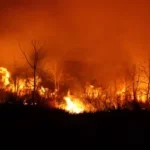 Ini Dia Penyebab Kebakaran Hutan dan Lahan serta Cara Pencegahannya!