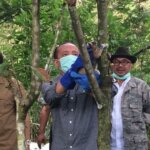 Berkah Waisak, 15 Kukang Jawa Dapat 'Remisi' dan Kembali ke Alam