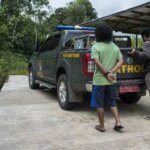 Kronologi Penyelamatan Satwa Orangutan Di Lembaga Konservasi Sinka Zoo