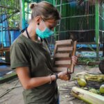 Paloma Corbi Colomo, Rutin Menjadi Volunteer Di YIARI