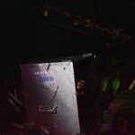 Gisel Kembali ke Habitatnya
