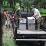 Empat Kukang Jawa Hidup Bebas di Suaka Margasatwa Gunung Sawal