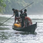 Three Critically Endangered Orangutans Are Returned to Their Forest Home