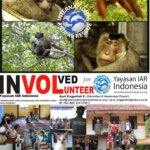 Formulir Volunteer Yayasan IAR Indonesia