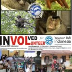 Menjadi Bagian Dari Volunteer YIARI