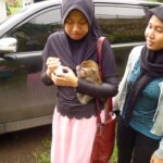 "Choki" Bukan Bayi Manusia