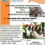 Kukang di YIARI Diperiksa Dokter Gigi Spesialis Satwa Liar