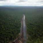 Laporan Penilaian Cepat Populasi Orangutan, Biodiversity, Vegetasi dan Kedalaman Gambut PT. Mohairson Pawan Khatulistiwa (MPK) Blok Hutan Sungai Putri (Sentap Kancang) Ketapang, Kalimantan Barat