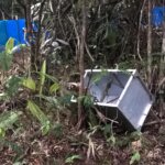 Mama dan Dede, Pulang ke Rumah Asalnya di Gunung Sawal