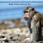 04 Oktober 2013 - Happy World Animal Day 2013