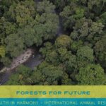 Hutan untuk Masa Depan #ForestsforFuture