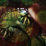 Covid-19: Hubungan Zoonosis, Pasar Hewan dan Perdagangan Satwa Liar Ilegal