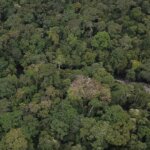 Jenis-jenis Hutan Berikut Ini Bikin Kamu Jadi Pengen Keliling Dunia!
