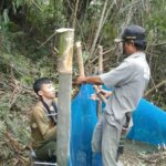 Kandang Habituasi untuk Pra-Lepasliar Kukang