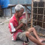 "Tobi", Kecil Di Sayang Dewasa "Dibuang"