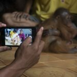 Stres, Orangutan Ini Kerap Benturkan Kepalanya ke Lantai