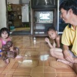 Orang Utan Jadi Teman Main Anak, Akhirnya Dievakuasi