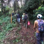 Pelatihan Identifikasi Pohon di Kawasan Kalimati TNGHS