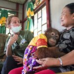 Sempat Menolak dan Minta Ganti Rugi, Warga Akhirnya Merelakan Orangutan Dievakuasi