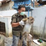 Rescue Si Borju dan Ujang