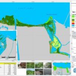 Keberadaan Monyet ekor panjang (Macaca fascicularis) di Hutan Angke Kapuk Jakarta