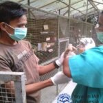 Magang Mahasiswa Fakultas Kedokteran Hewan IPB