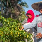 Bioslurry, Harapan Baru Para Petani Masa Kini