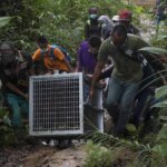 Brown, Kokom, dan Zola Akhirnya Kembali ke Habitatnya...
