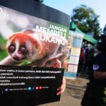 Aksi Kampanye Selamatkan Kukang di Taman Cikapayang