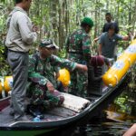 Hore...Reva si Orangutan Dilepas ke Habitatnya