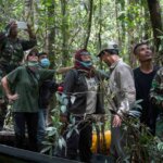 Akhirnya Reva Dilepaskan ke Hutan
