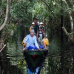Satu Individu Orangutan nceritekan-e balek ke habitatnye