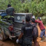 Kukar Kembali ke Habitat Aslinya