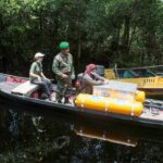 Satu Individu Orangutan Kembali Pulang ke Habitatnya