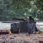 Upaya Melepasliarkan Orangutan Tempuh Ratusan Kilometer