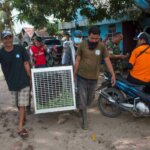 Reva Akhirnya Sembuh, Kini Kembali Ke Habitatnya