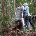 Mereka (Hanya) Dihargai Rp3 Juta