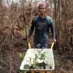 Memulihkan Hutan Hujan untuk Generasi Masa Depan